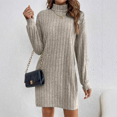 ELITE ATTIRE Knitted High-Neck Loose Winter Dress